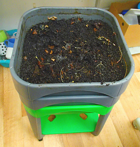 compost vermicompostage